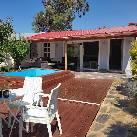 Bay * Πευκάρι