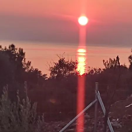 Bay * Πευκάρι