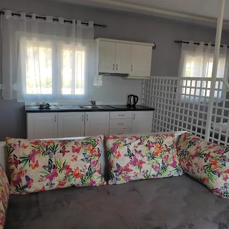 Bay * Πευκάρι