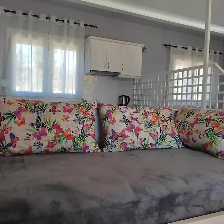 Bay * Πευκάρι