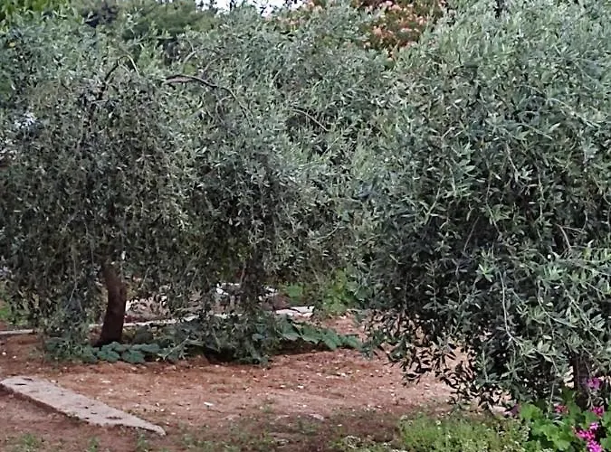 Apartamento Bay Pefkari