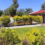 Bay Pefkari