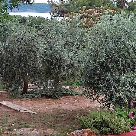 Apartmán Bay Pefkari