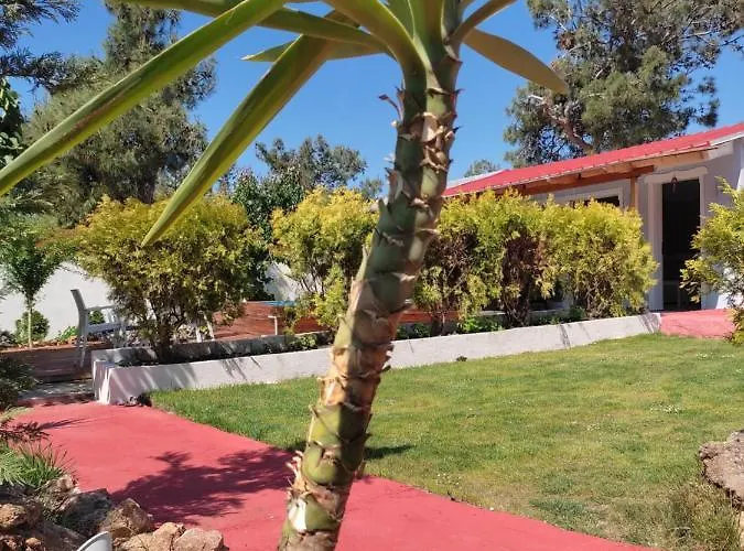 Bay *
